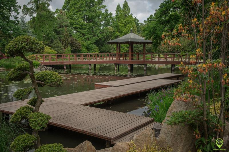 Gdzie najlepiej wykorzystać: na ogród czy do ogrodu?