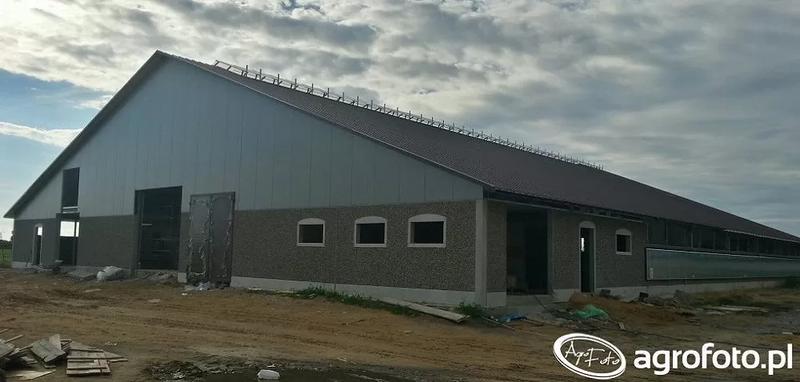 Jak oszacować koszt budowy obory na 50 opasów? Praktyczny przewodnik dla rolników