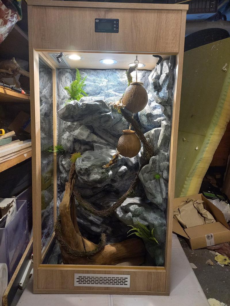 Aranżacja przestrzeni w terrarium