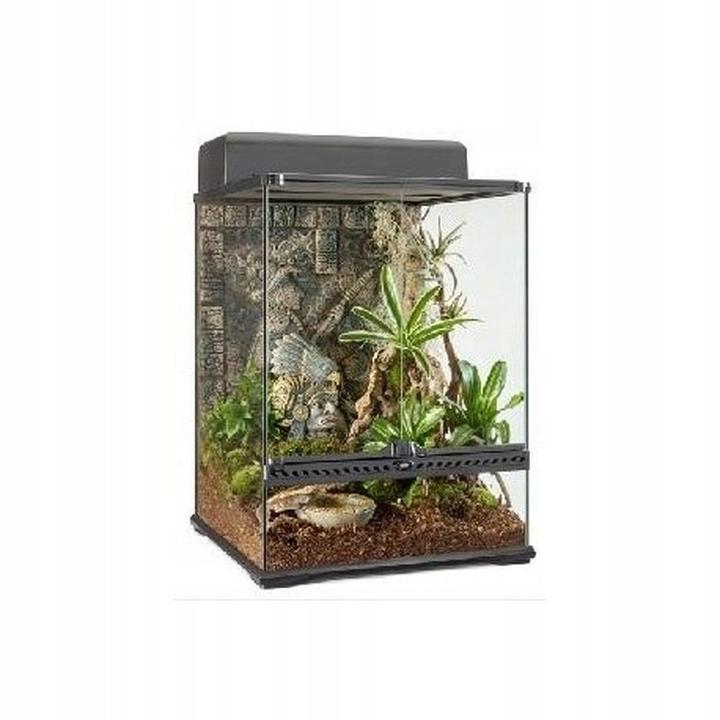 Błędy przy urządzaniu terrarium