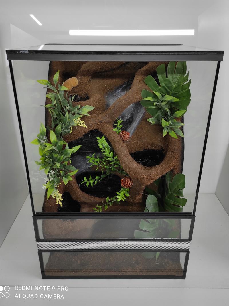 Budowa terrarium dla gekona