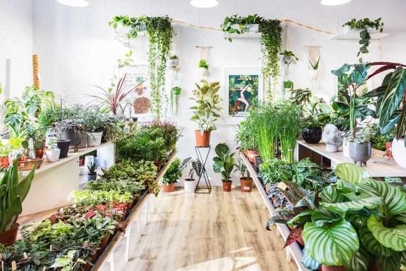 Korzyści dla zdrowia psychicznego