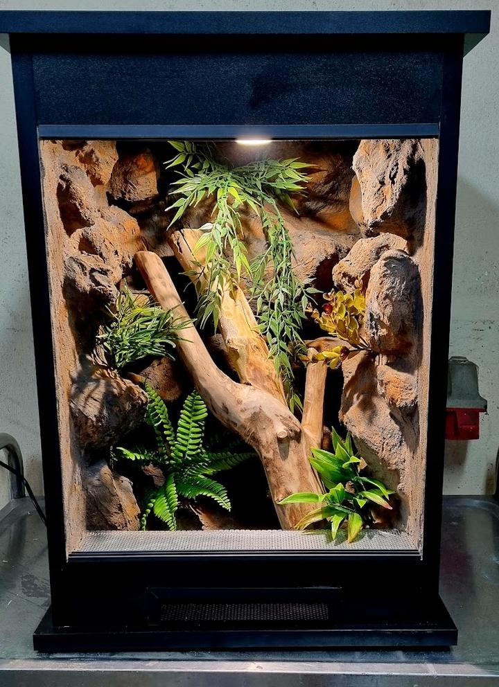 Materiały do budowy terrarium