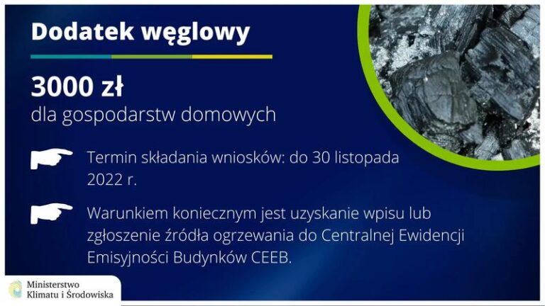 Dodatek węglowy a dom letniskowy – co warto wiedzieć?