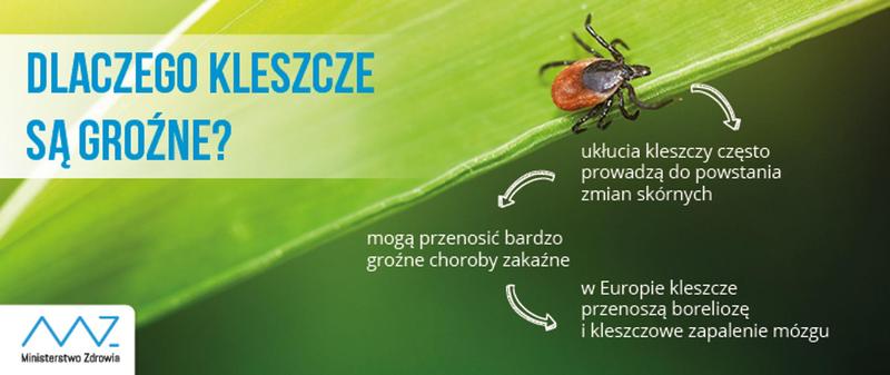 Rozprzestrzenianie kleszczy w domu