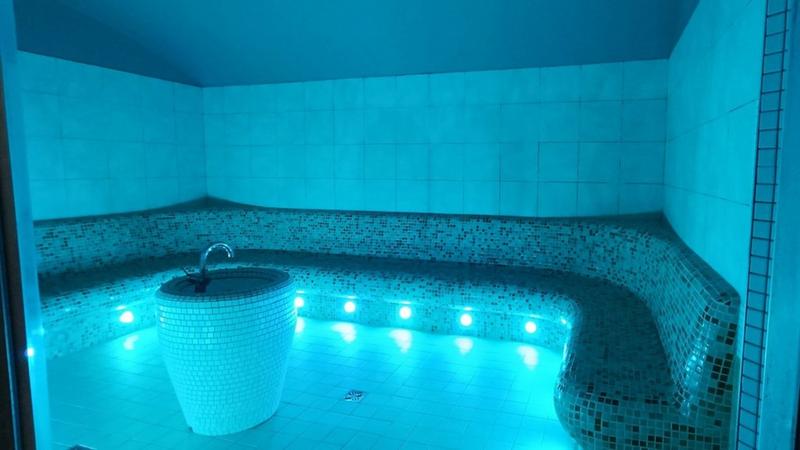 Sauna parowa w ogrodzie