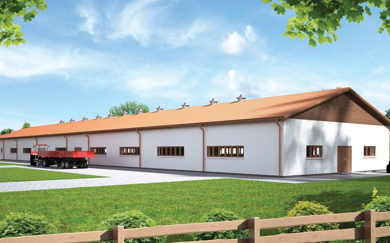 Koszt budowy kurnika