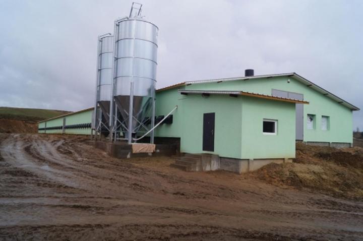 Materiały do budowy kurnika