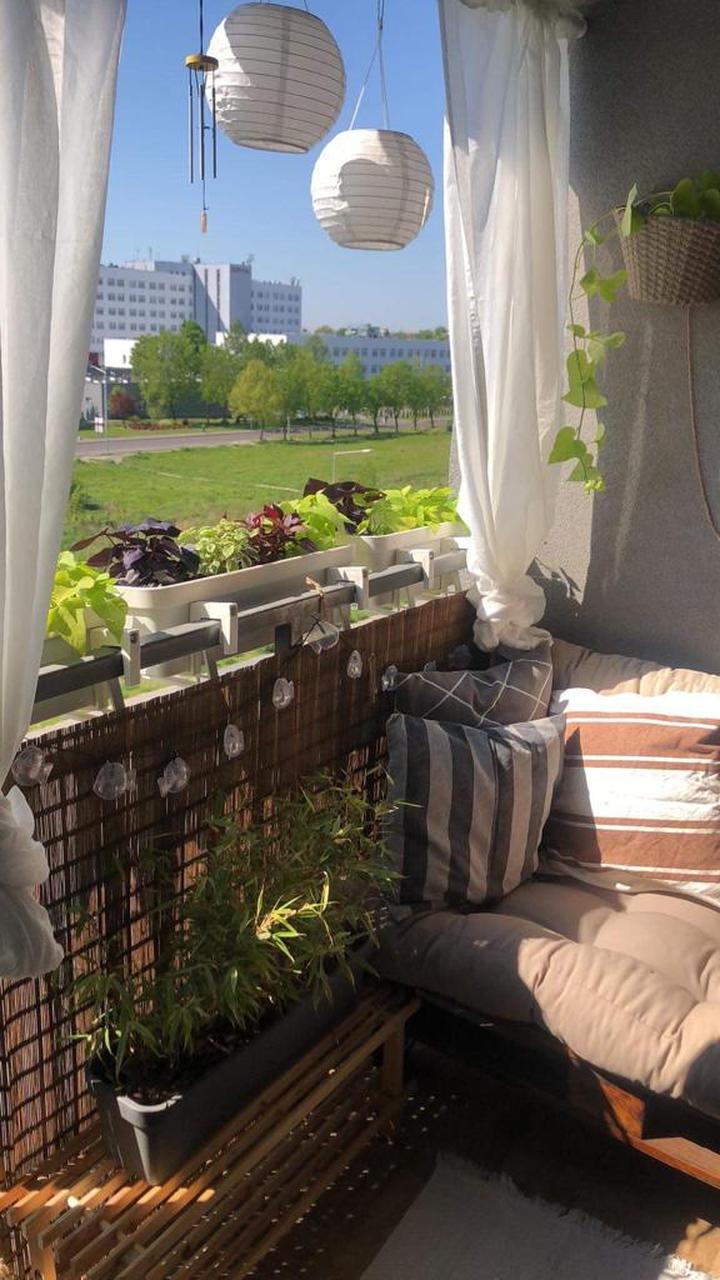 Wybór karnisza i zasłon