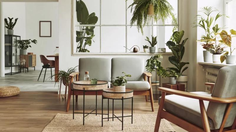 Formalności dla cudzoziemców