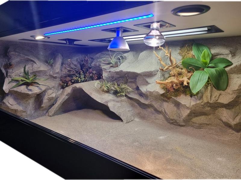 Montaż oświetlenia w terrarium