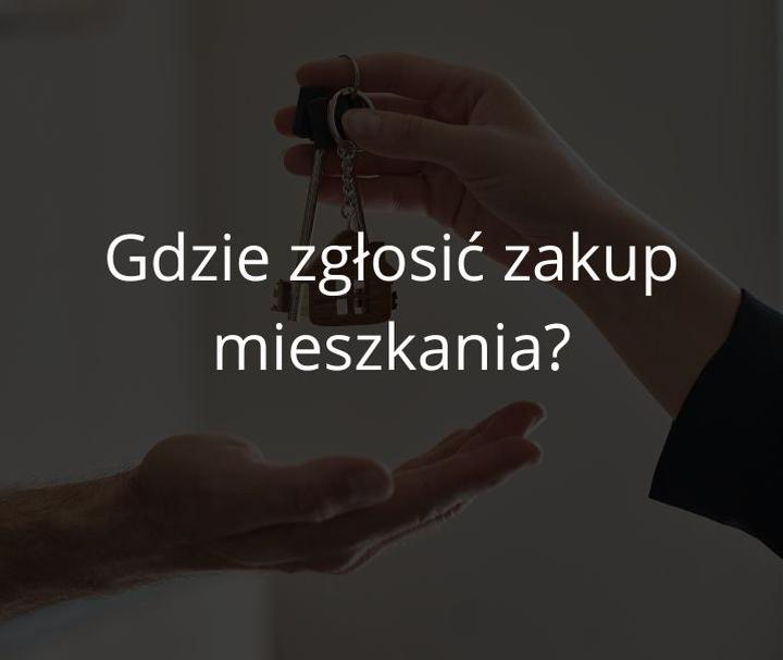 Procedura budowy krok po kroku