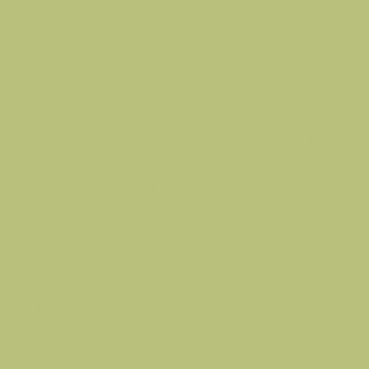 RAL 6021 Pale Green