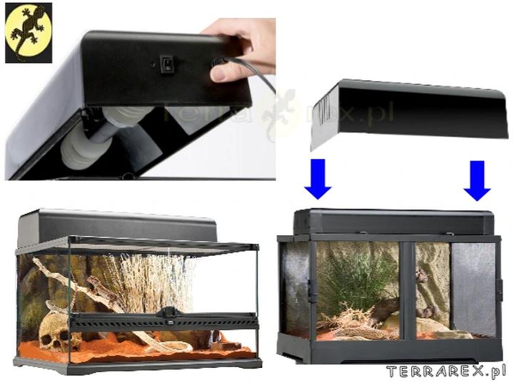 Źródła światła do terrarium